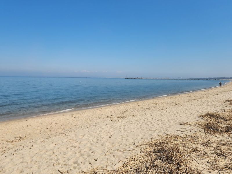 Johnnie Walker Beach, Lewes, Delaware