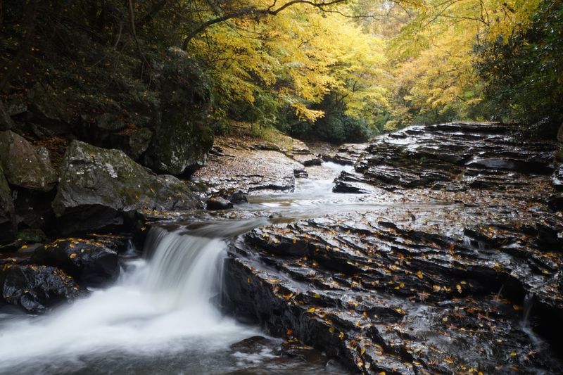 Jonathan Run Falls and Sugar Run Falls: The Trails That Reward Your Effort