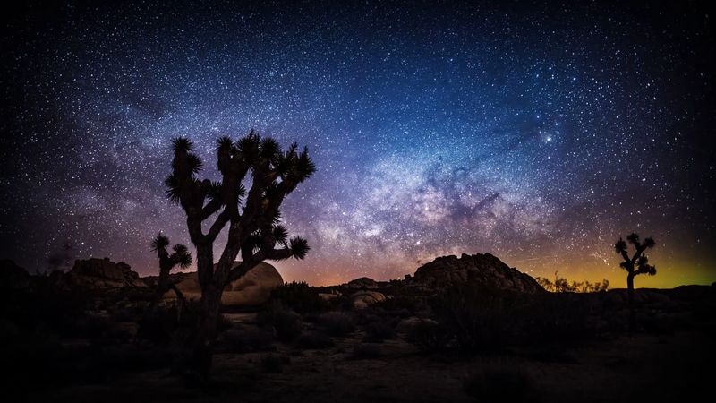 Joshua Tree National Park, California Joshua Tree National Park, California