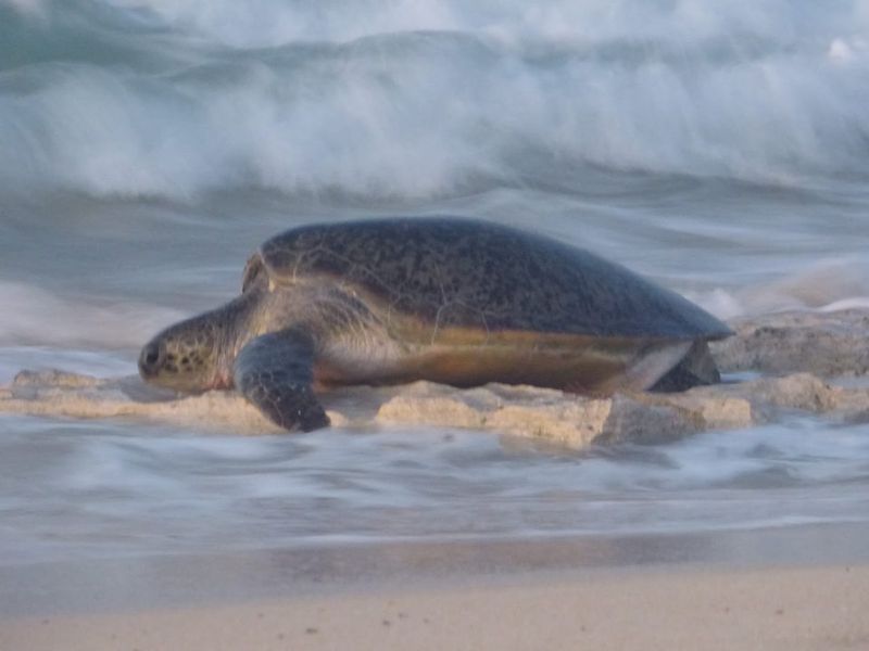 Jurabi Coastal Area, Exmouth, Western Australia