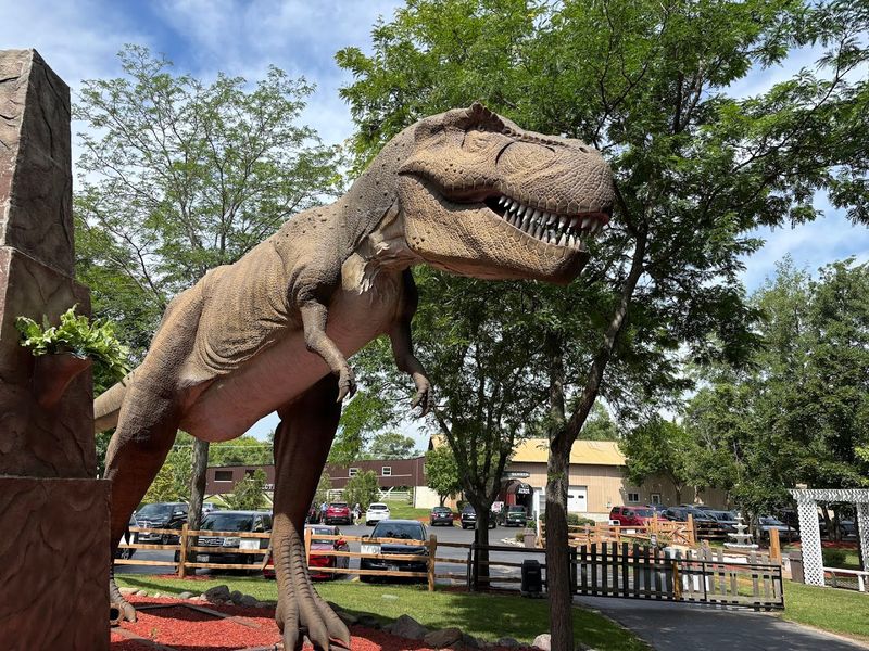 Jurassic Gardens and the Outdoor Experience Jurassic Gardens and the Outdoor Experience