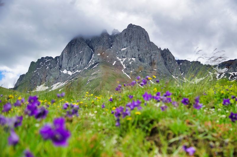 Juta, Mtskheta-Mtianeti, Georgia