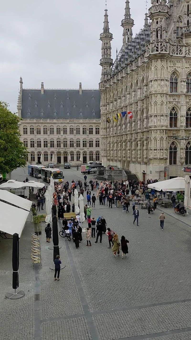 KU Leuven (Belgium) KU Leuven (Belgium)