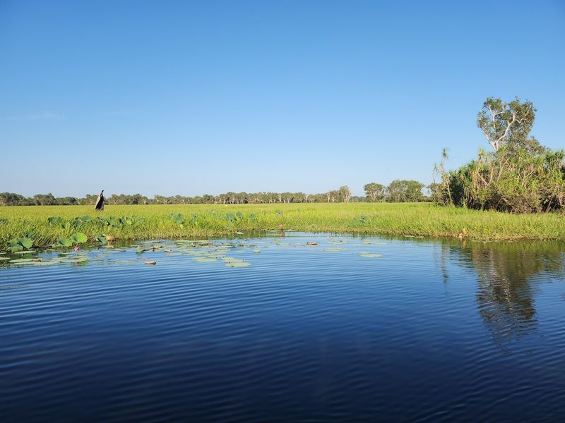 Kakadu Wetlands, Northern Territory, Australia Kakadu Wetlands, Northern Territory, Australia