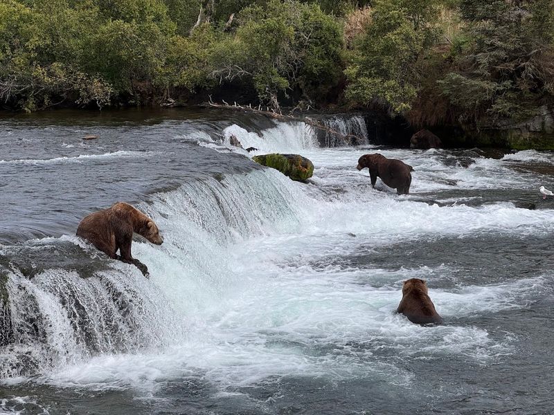 Katmai National Park and Preserve, Alaska, USA Katmai National Park and Preserve, Alaska, USA