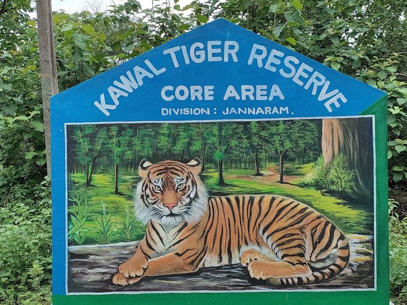 Kawal Tiger Reserve, Telangana, India Kawal Tiger Reserve, Telangana, India