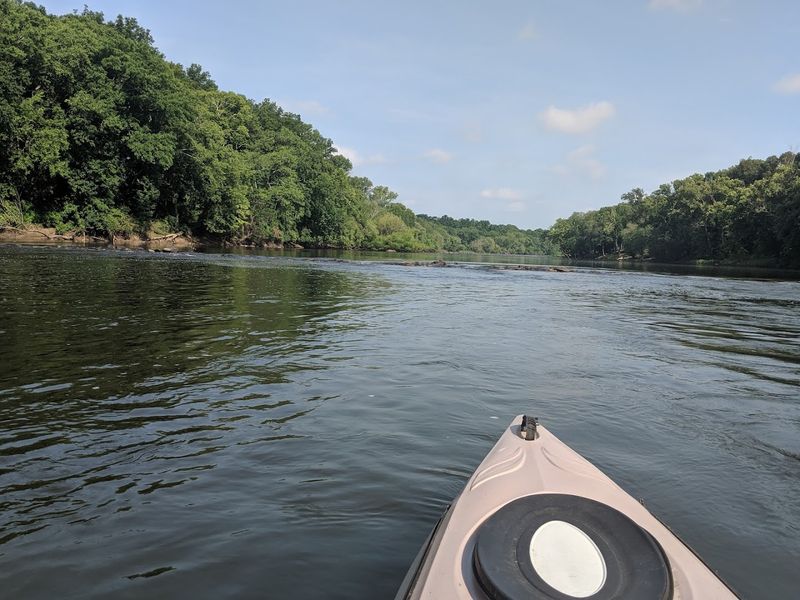 Kayaking and Canoeing the Cape Fear Kayaking and Canoeing the Cape Fear