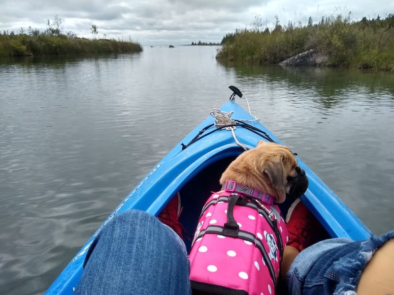 Kayaking and Paddling Through Island Channels Kayaking and Paddling Through Island Channels