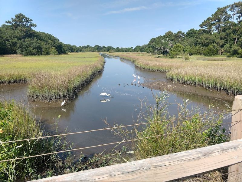 Kiawah Island, South Carolina