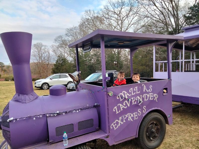Kids' Activities: Trains, Mini Golf, and Playground Fun