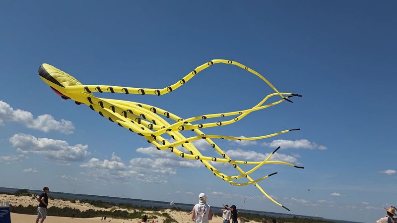 Kite Flying and Family Fun on the Open Sand Kite Flying and Family Fun on the Open Sand