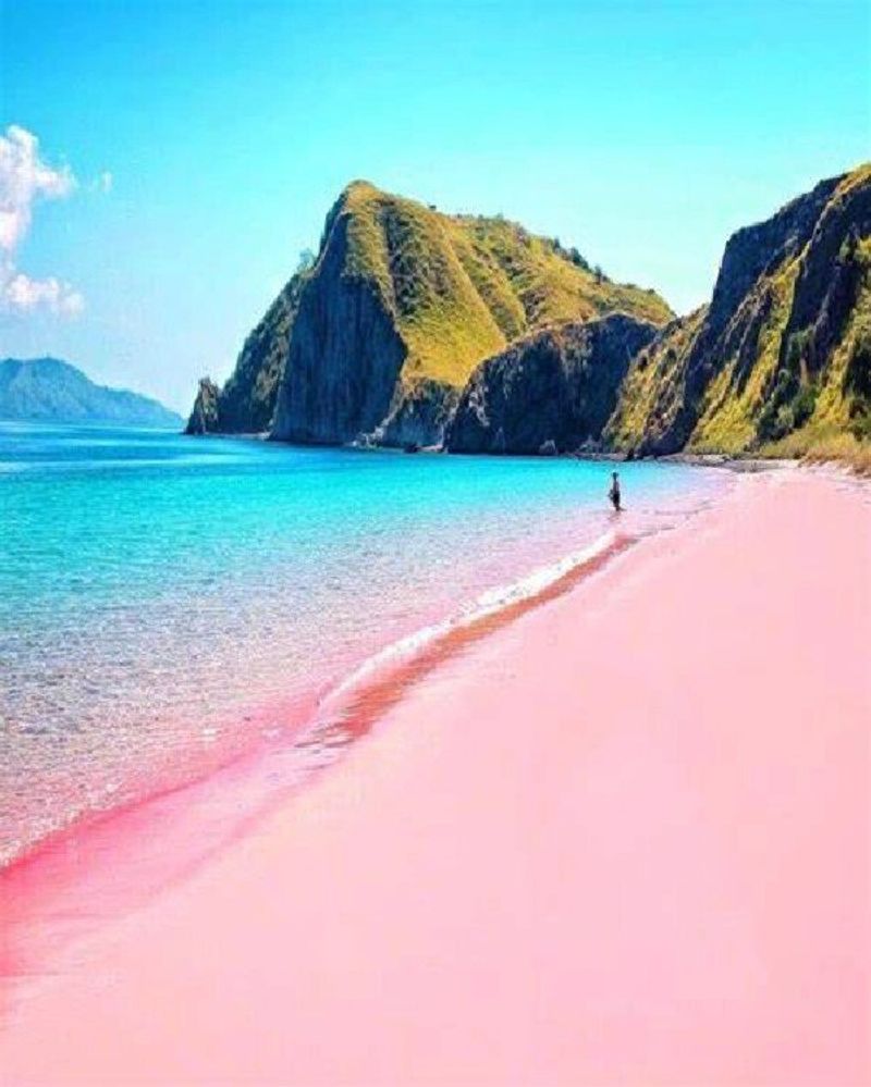 Komodo Island, Indonesia