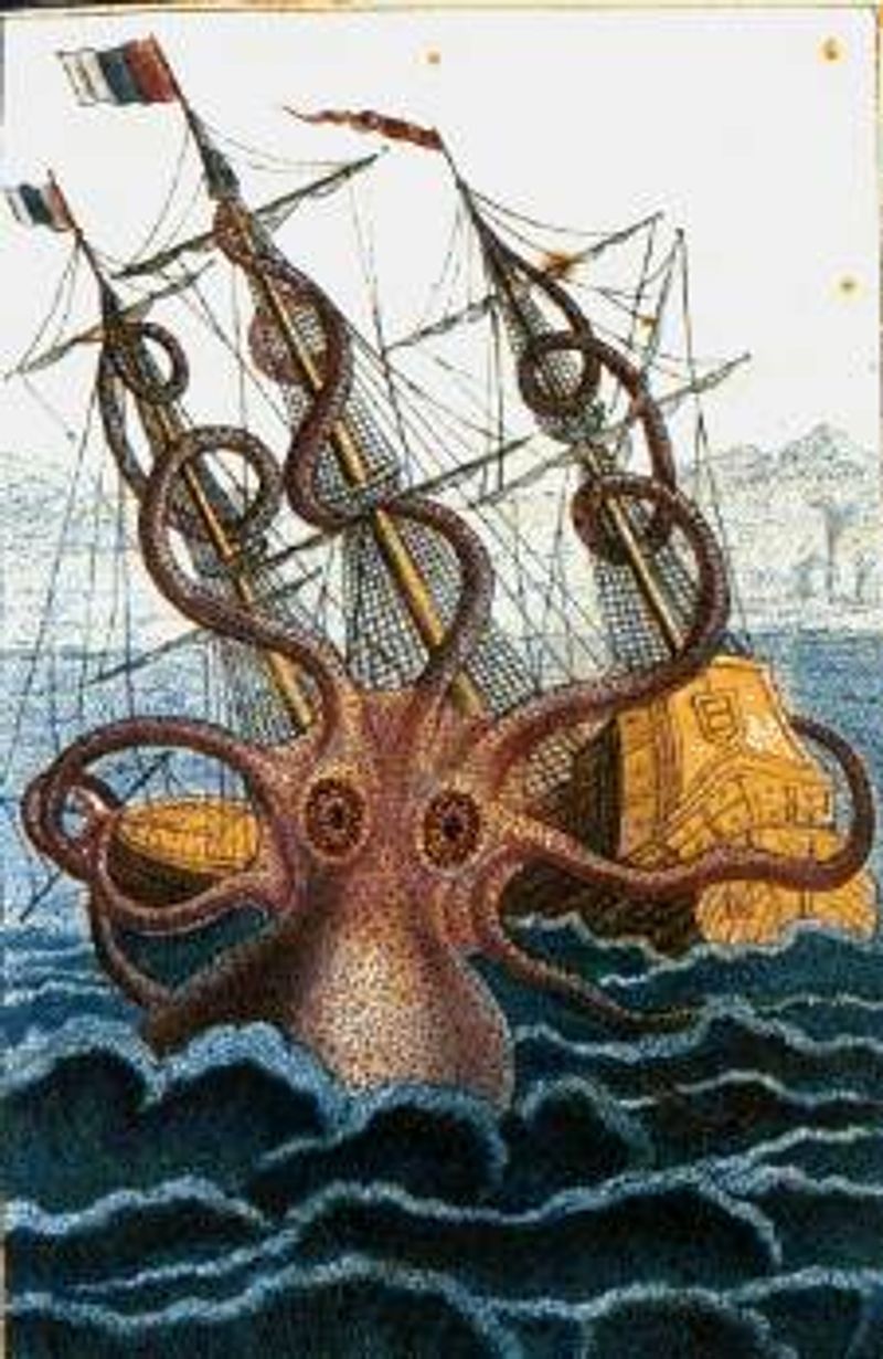 Kraken - Scandinavian Folklore