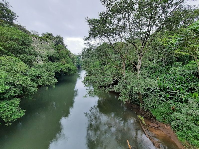 La Selva Biological Station, Sarapiquí, Heredia Province, Costa Rica
