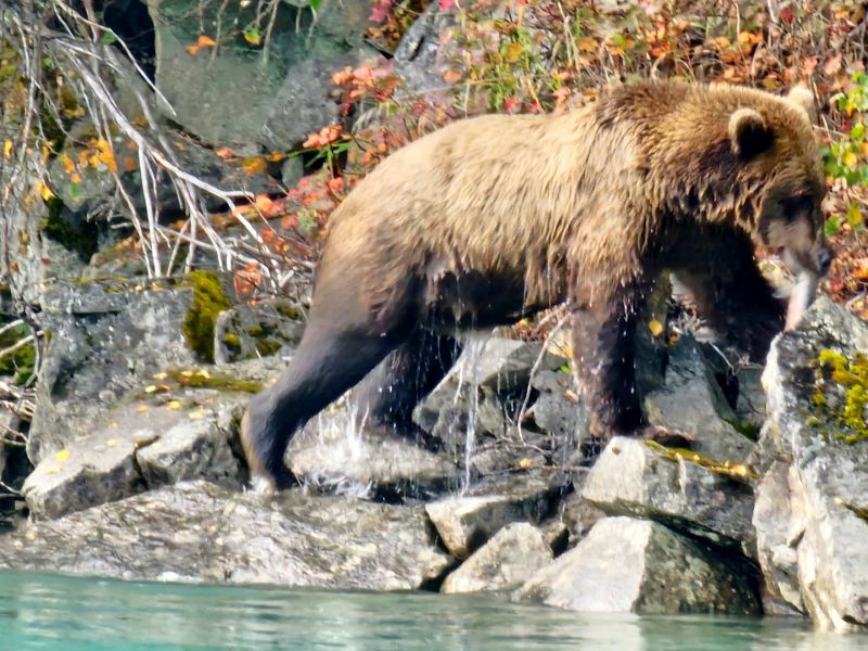 Lake Clark National Park and Preserve, Alaska, USA Lake Clark National Park and Preserve, Alaska, USA