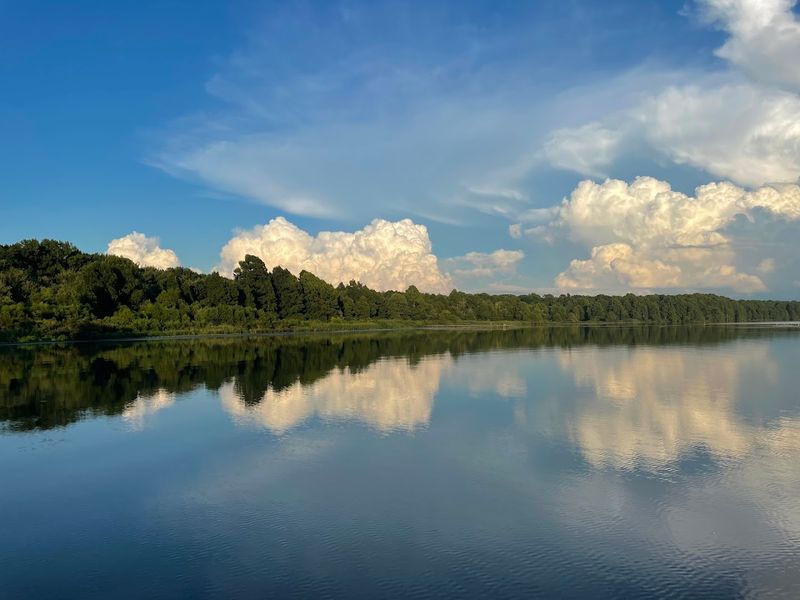 Lake Phelps: A Body of Water Unlike Anything Else in the State Lake Phelps: A Body of Water Unlike Anything Else in the State