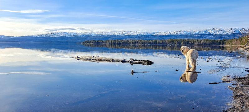Lake Snåsavatnet, Norway