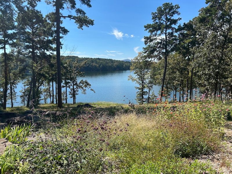 Lakeside Views That Show Up When You Least Expect Them