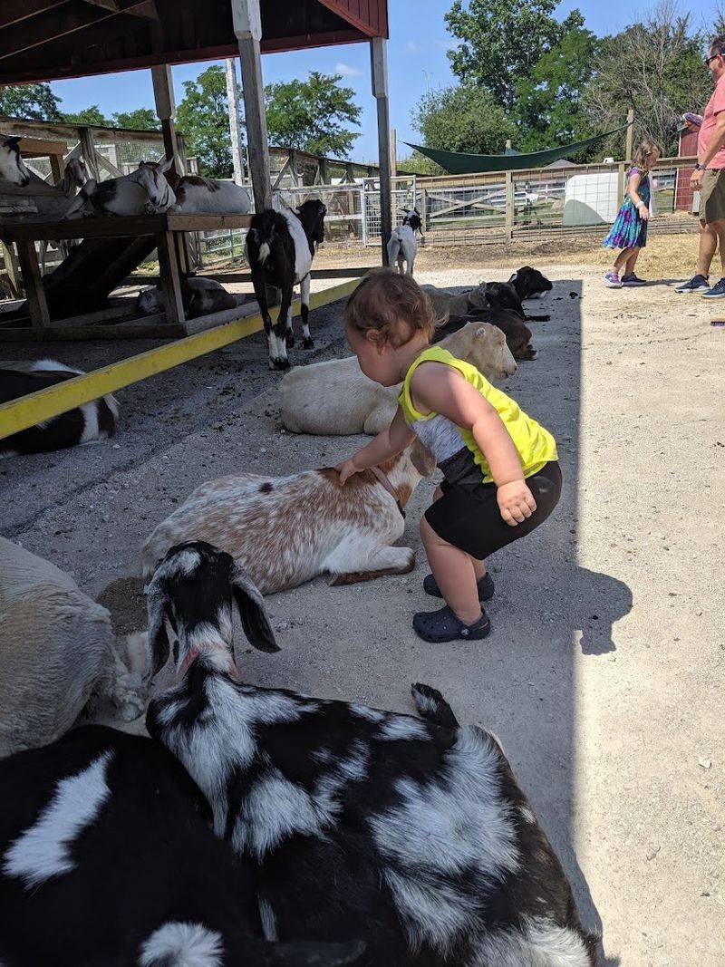 Lambs Farm — Libertyville, Illinois