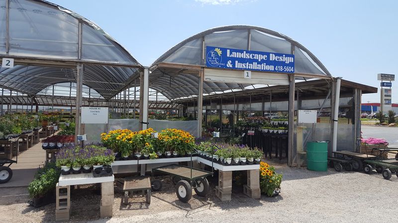 Landscape Services That Extend Beyond the Store