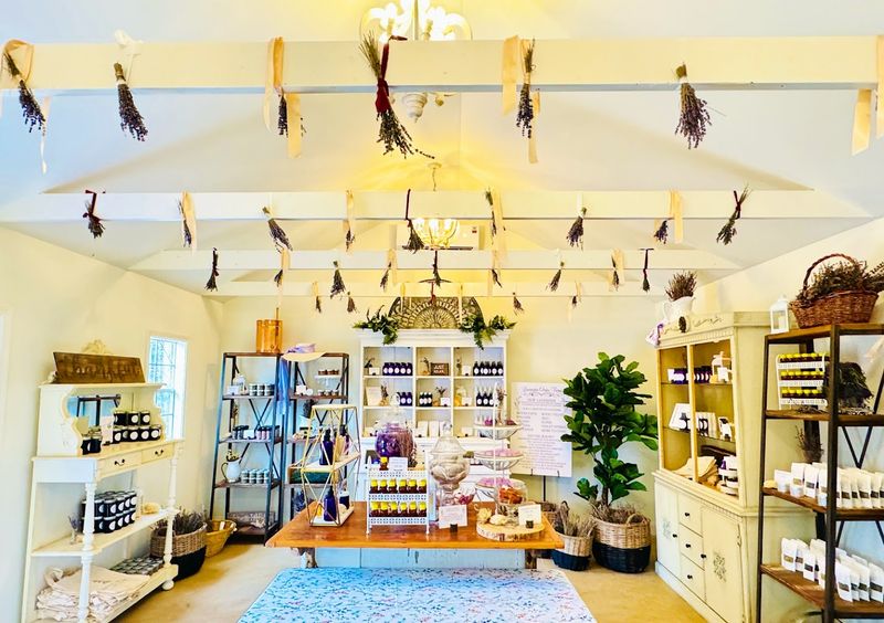 Lavender Products, the Boutique, and Casual Visits Lavender Products, the Boutique, and Casual Visits