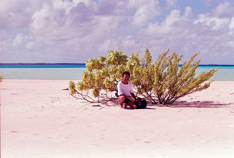 Les Sables Roses, Rangiroa, French Polynesia Les Sables Roses, Rangiroa, French Polynesia