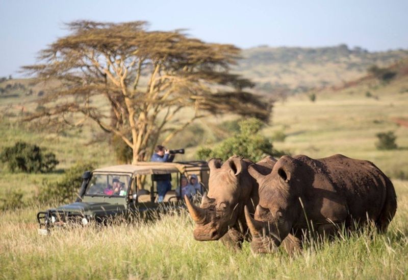 Lewa Wildlife Conservancy, Meru County, Kenya Lewa Wildlife Conservancy, Meru County, Kenya