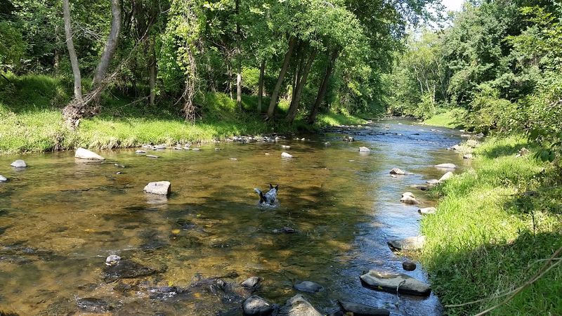 Little Gunpowder Falls: The River That Runs Through It All