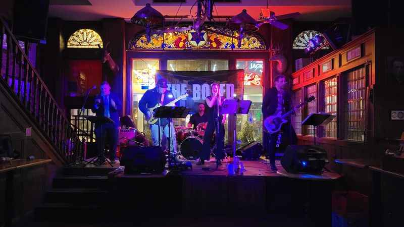 Live Music and the Nights That Buzz