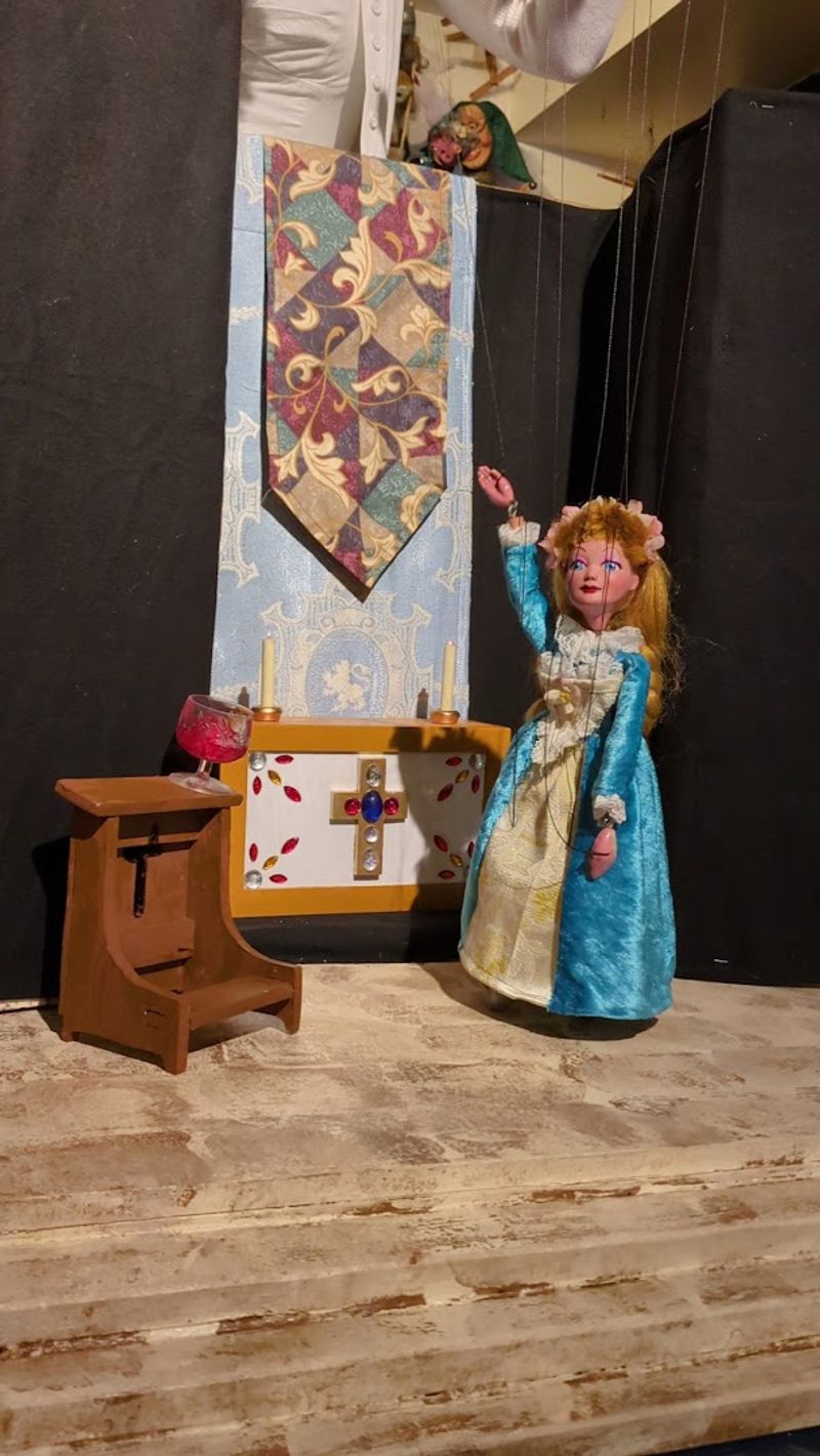 Live Puppet Shows and What to Expect