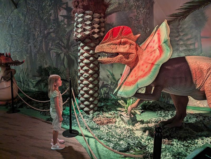 Live Reptiles That Steal the Show Live Reptiles That Steal the Show