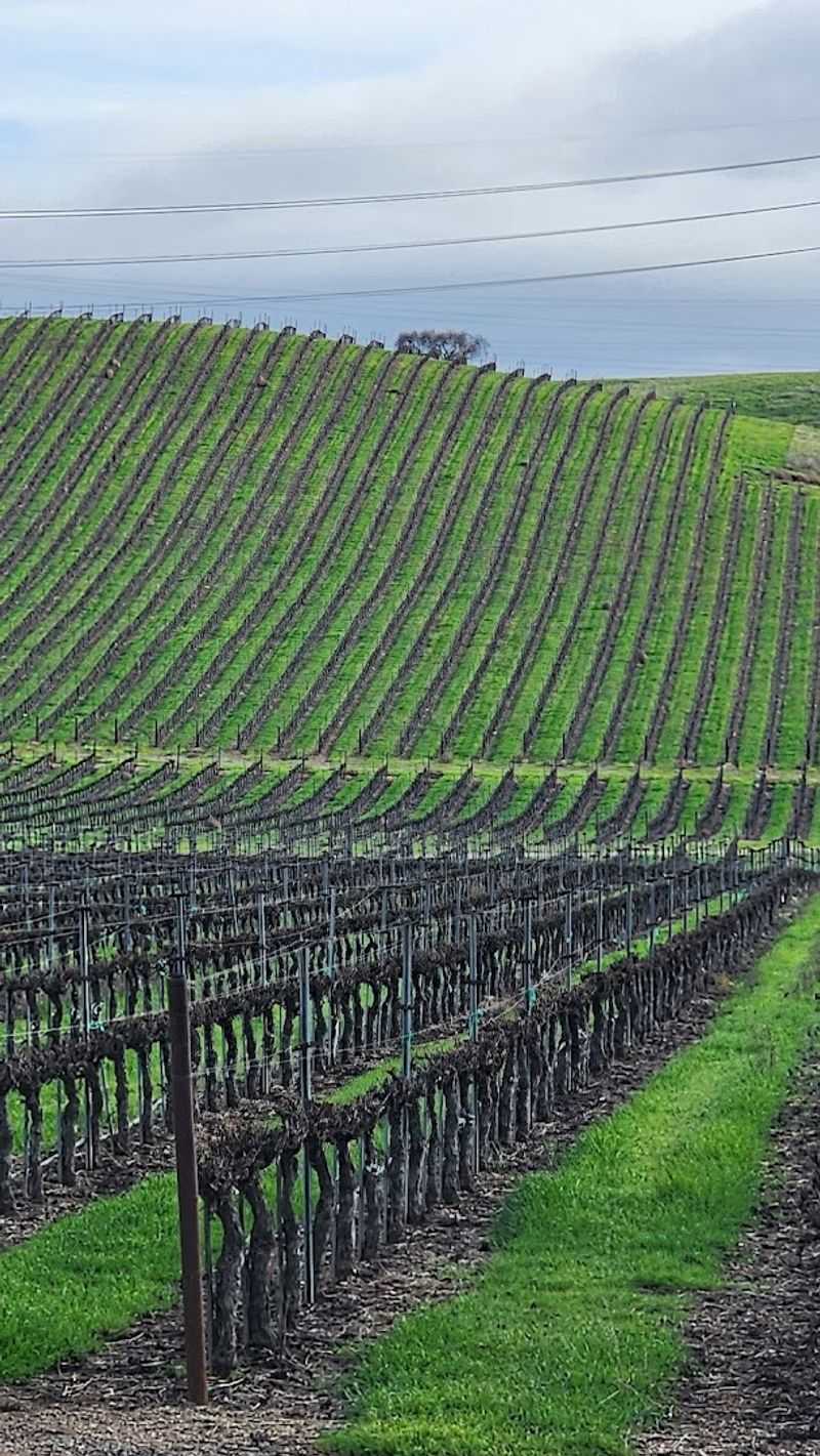 Livermore Valley, Alameda County, California Livermore Valley, Alameda County, California