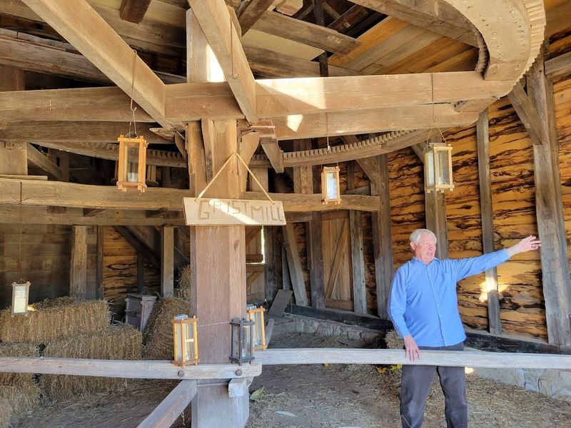 Living History Programs That Actually Bring the Past to Life