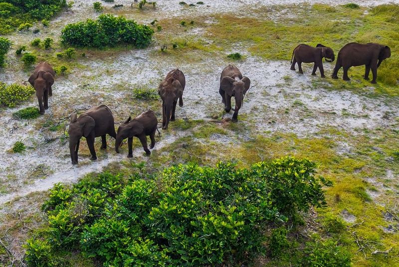 Loango National Park, Gabon Loango National Park, Gabon