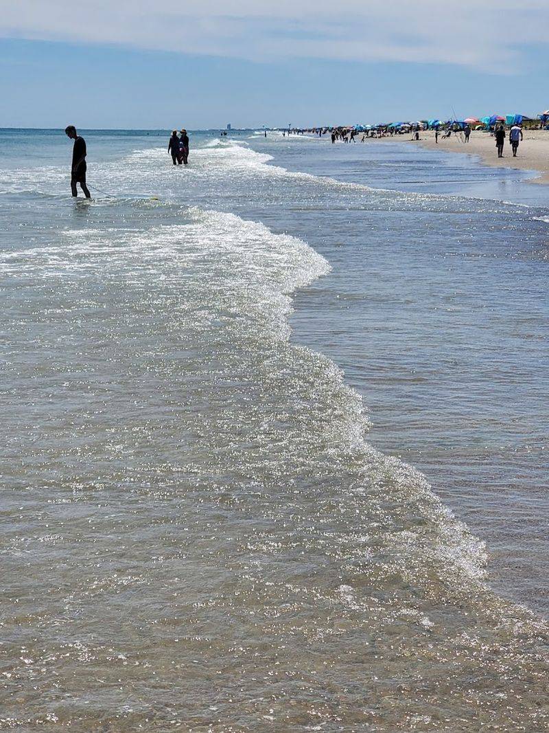 Loggerhead Sea Turtles and the Nesting Season Loggerhead Sea Turtles and the Nesting Season