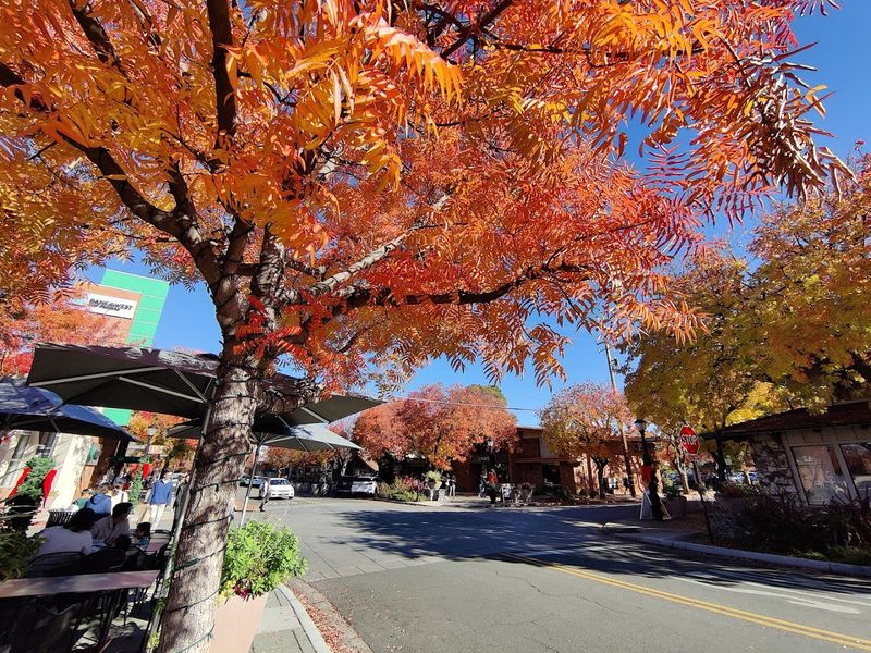 Los Altos, California