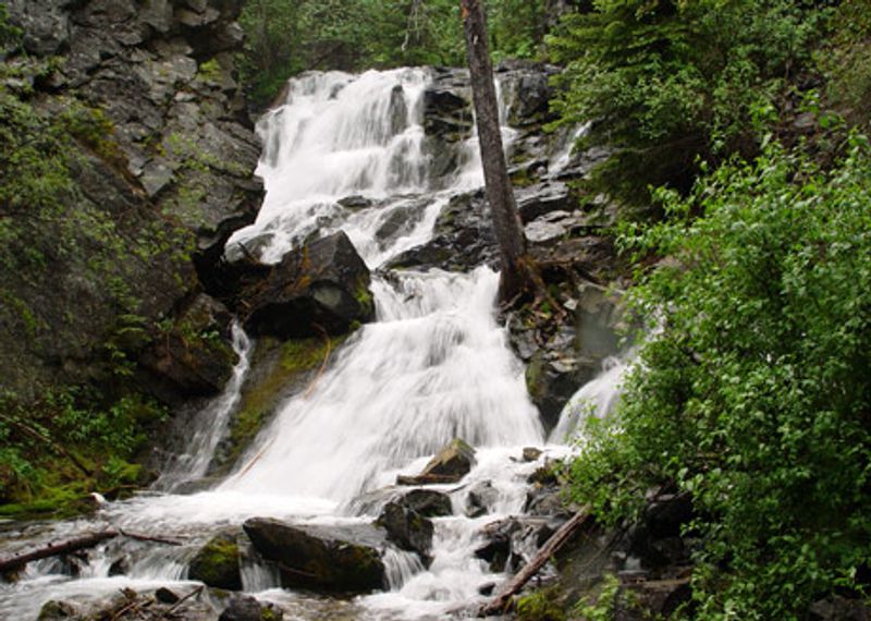 Lost Creek Falls and the Short Trail That Leads to It