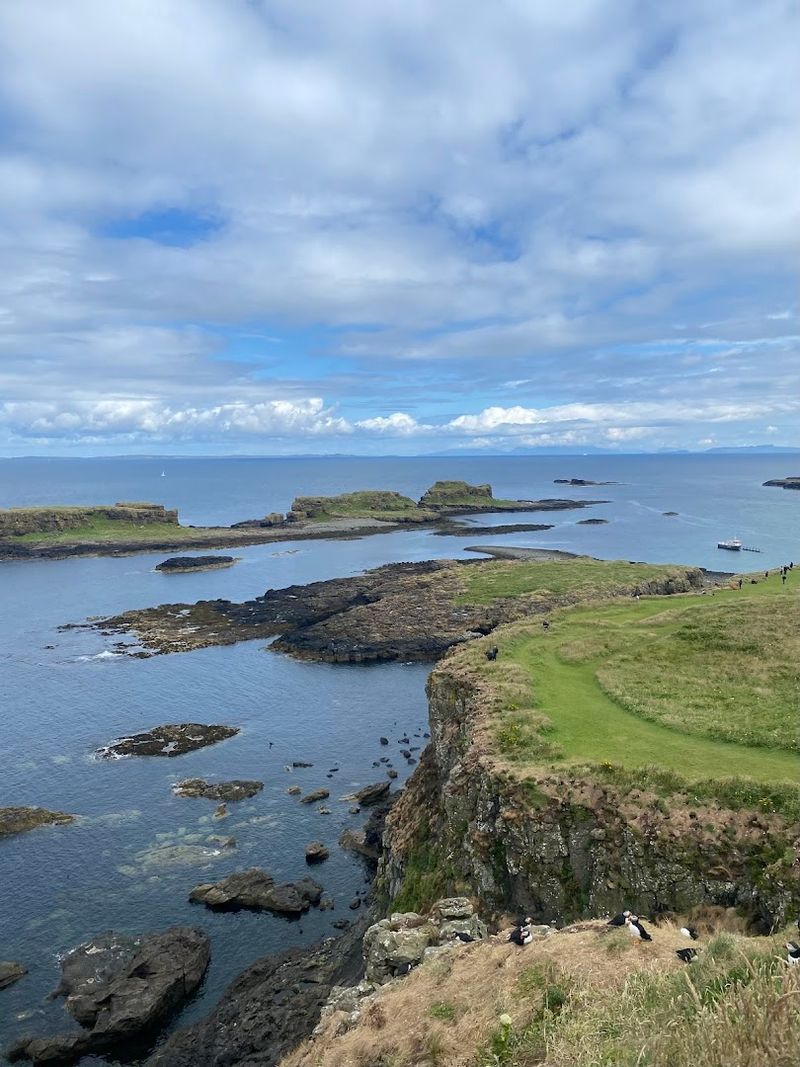 Lunga, Treshnish Isles, Argyll And Bute, Scotland