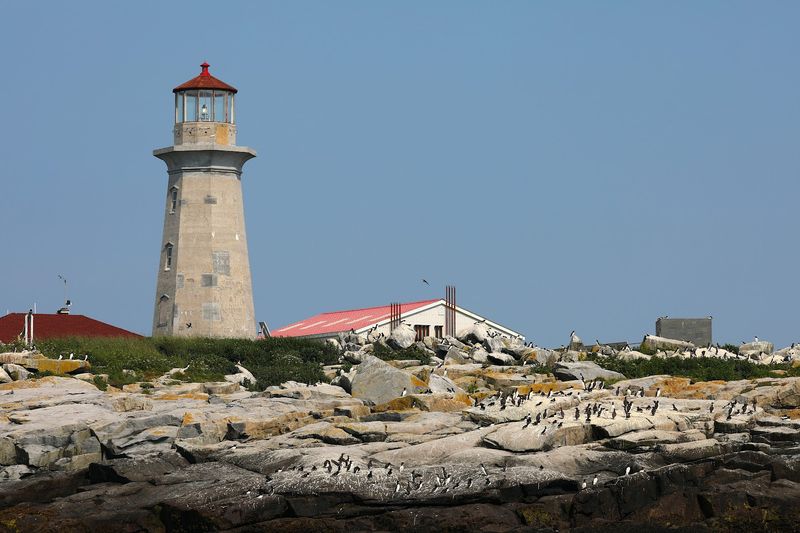 Machias Seal Island, Cutler, Maine, United States