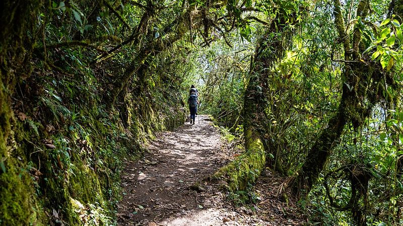 Machu Picchu and the Inca Trail, Peru