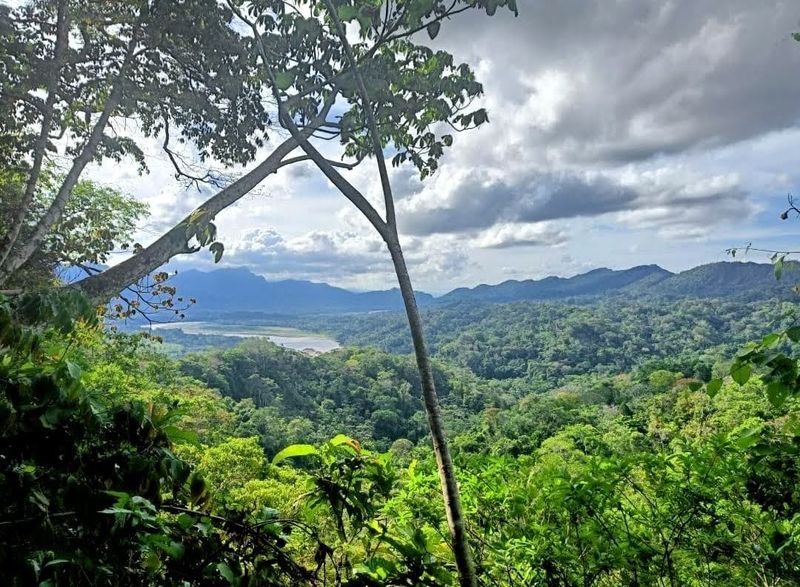 Madidi National Park, Bolivia Madidi National Park, Bolivia