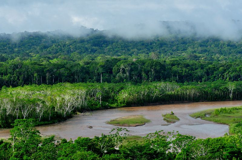 Madidi National Park, La Paz, Bolivia