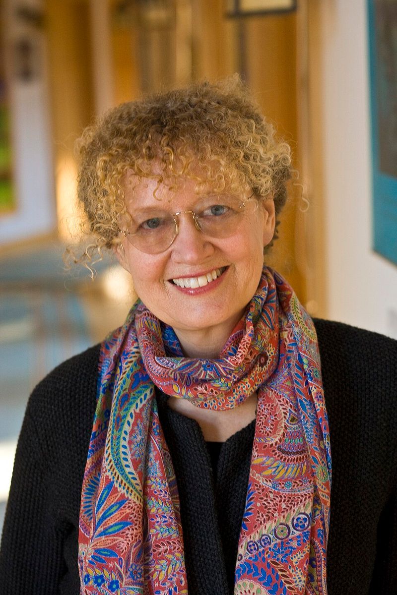 Magic Tree House by Mary Pope Osborne