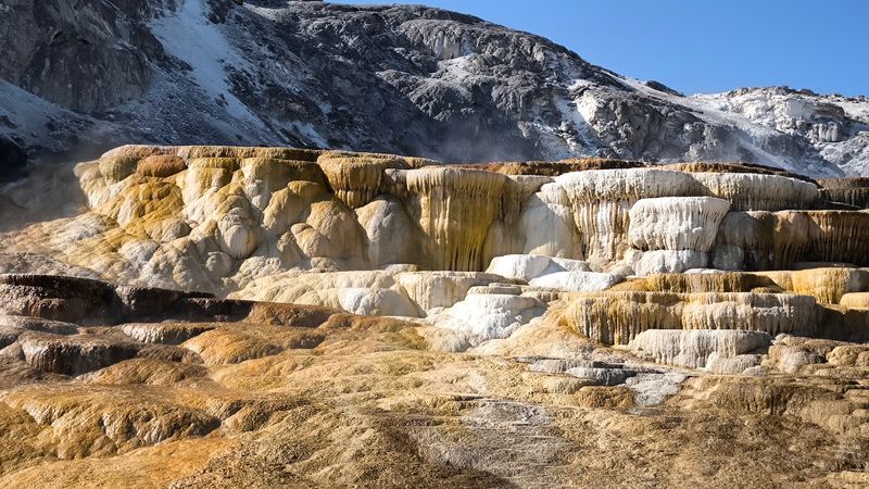 Mammoth Hot Springs: The First Marvel Inside the Gate