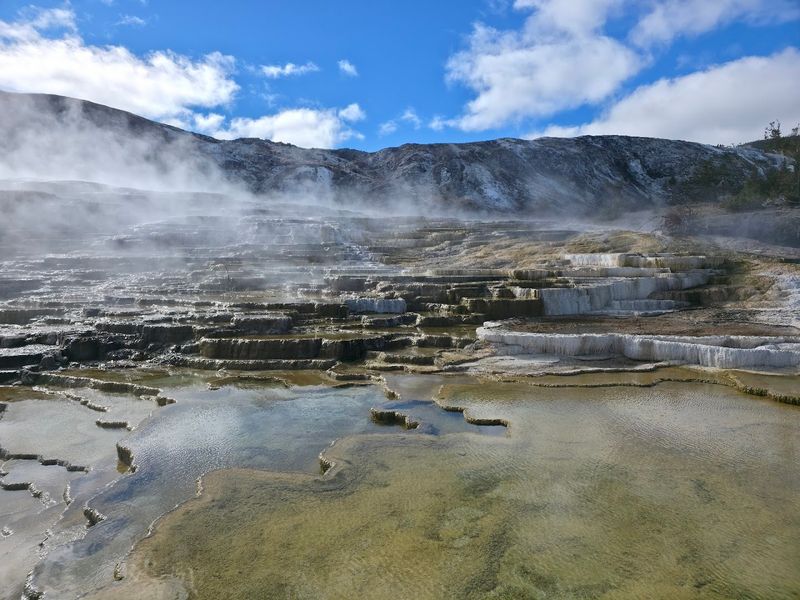 Mammoth Hot Springs and the Terraces That Keep Rewriting Themselves Mammoth Hot Springs and the Terraces That Keep Rewriting Themselves