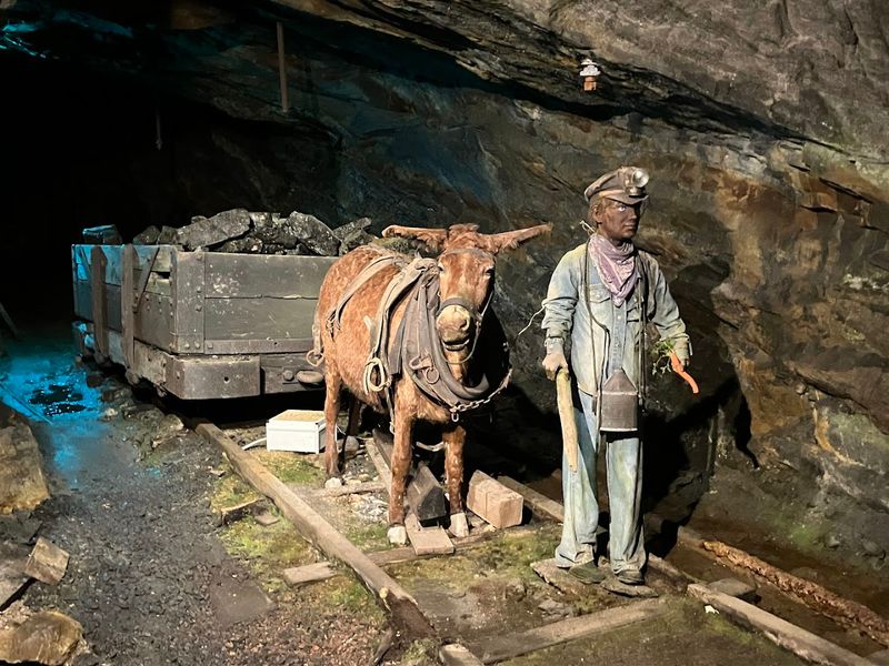 Mannequins, Mule Boys, and the Human Cost of Coal Mannequins, Mule Boys, and the Human Cost of Coal