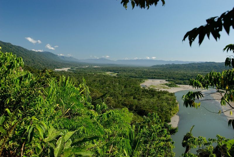 Manu National Park, Peru Manu National Park, Peru