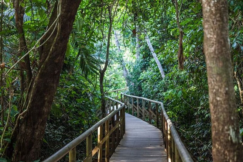 Manuel Antonio National Park, Quepos, Puntarenas Province, Costa Rica