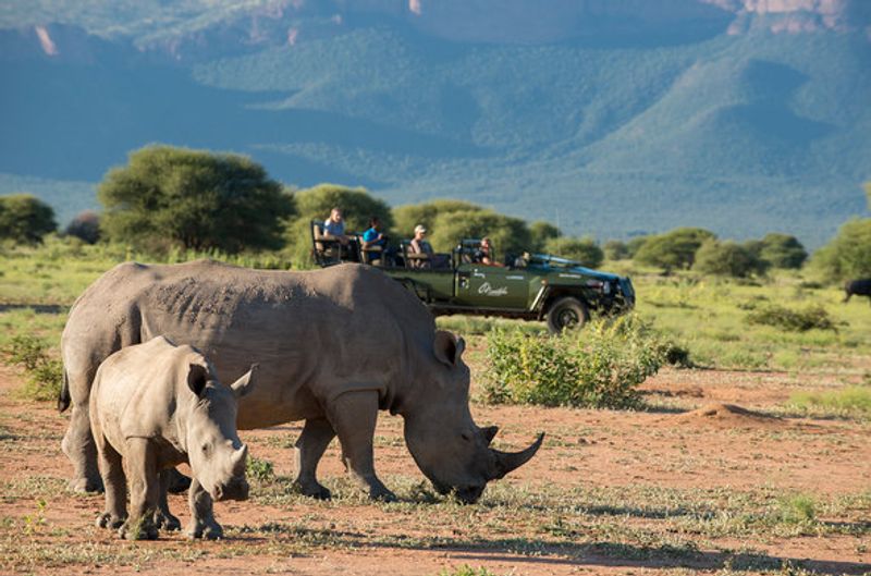 Marakele National Park, Limpopo, South Africa