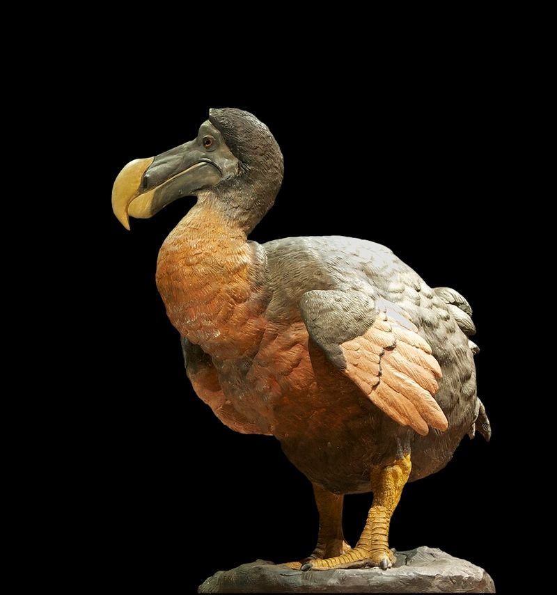 Mauritius: The Dodo Mauritius: The Dodo